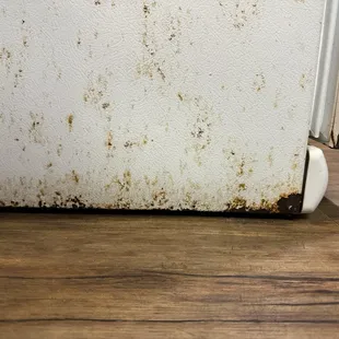 Rust at the bottom of the fridge which was pointed out in the hallway!