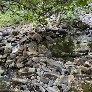 Animal or man-made? Little dam
