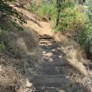 Hiking with Stairs