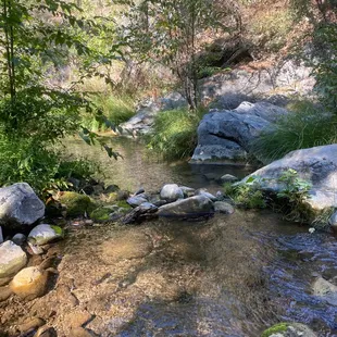 Stream running