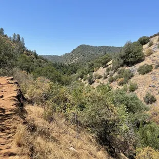 7/2/2021 hot dry view
