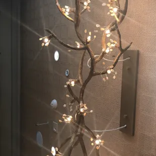 Great light fixtures