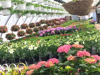 Harms Farm Garden Center