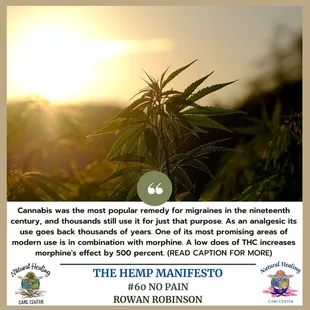 Cannabis, Hemp and Hemp CBD can save the planet!!!