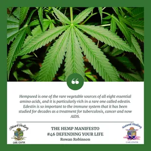 Cannabis, Hemp and Hemp CBD can save the planet!!!