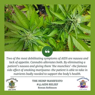 Cannabis, Hemp and Hemp CBD can save the planet!!!