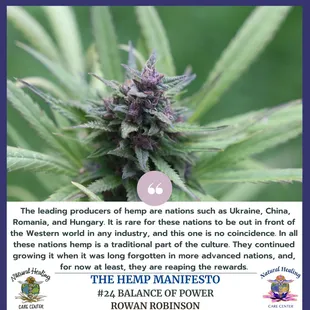 Cannabis, Hemp and Hemp CBD can save the planet!!!