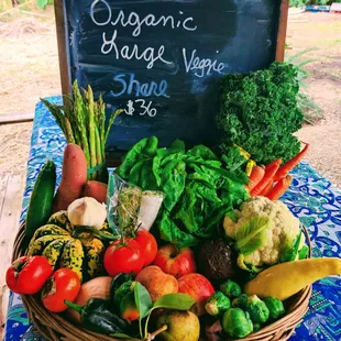 Sample weekly Produce Veggie Share, we also offer Small and a Fruit Share. Visit website for more information