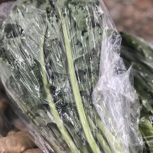 Bundle of Kale