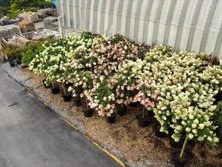 Nature's Mulch and Landscape Supply