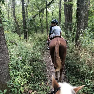 The trail