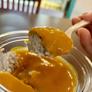 Chia Seed Pudding with Mango