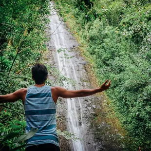 Our guides will lead you through the Manoa Valley Rainforest to the towering 150-foot (45-meter) waterfall Manoa Falls!