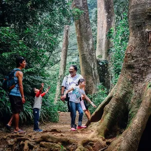 Our experienced and knowledgable guides share cultural and ecological information throughout your hike.
