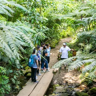 Our guides share interesting Hawaiian cultural facts and history, along with information on the ecological diversity of the trail.