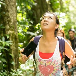 Enjoy the breathtaking and lush scenery of Hawaii while our guides share interesting Hawaiian cultural facts and history.