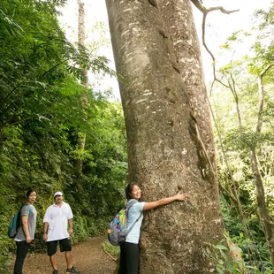 Our hike begins at a trailhead in the middle of the island, surrounded by massive jungle trees and stunning colorful plant life.