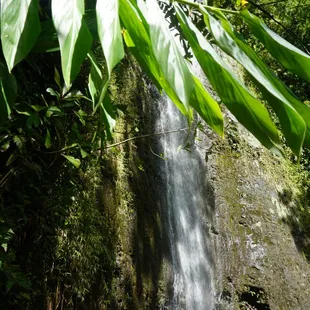 One of Hawaii's most beautiful waterfalls is also accessible from a short hike!
