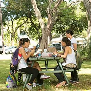 After the hike, we'll treat you to a healthy "power lunch" at the local favorite Kaimana Farm Cafe.