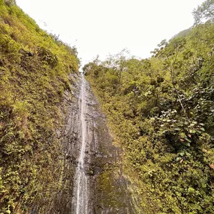 Manoa falls