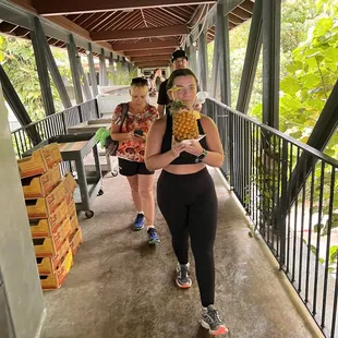 Pineapple from the stand