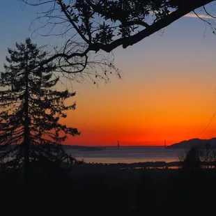 Sunset view from Berkeley Rose Garden