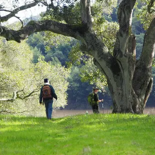 Walking along San Leandro reservoir