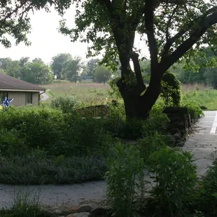 Hiking Trails and a Nature Center at the Wildlife Sanctuary with many habitats. Please carry all trash home, no trashcans.