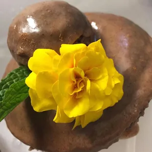 Seasonal Pumpkin Spice