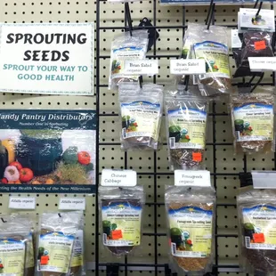 Grow your own sprouts!