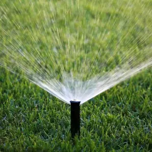 Nature's Helper specializes in offering water-efficient solutions to help our customers keep their lawn and garden beautiful.