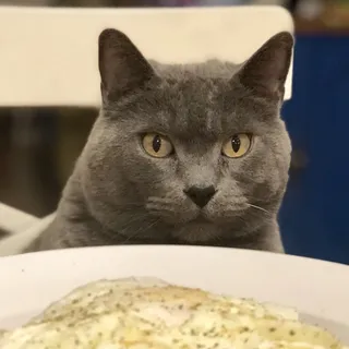 Potato B.