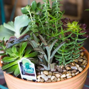 Natures Splendor Florist