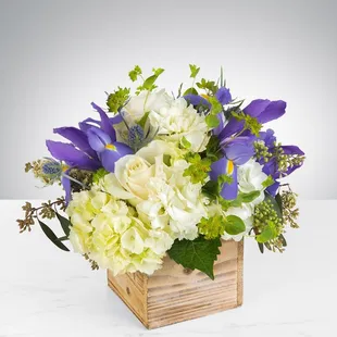 A Breath of Fresh Air