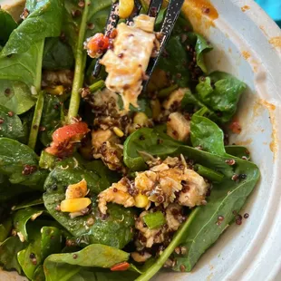 salads, salad, food
