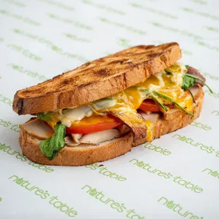 Turkey Club Panini