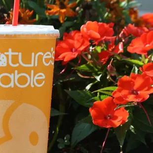 a yellow cup with a straw