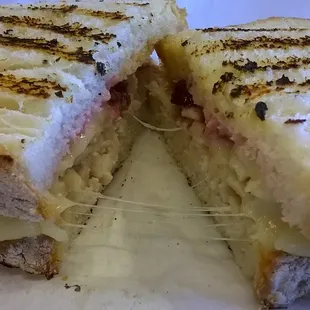 Turkey Cranberry Panini