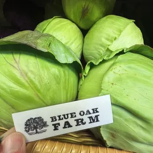 We support local &amp; regenerative agriculture!