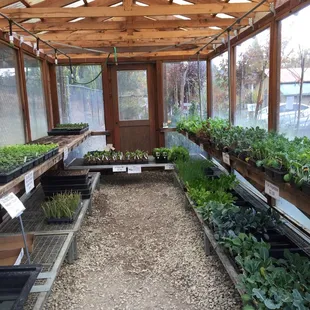 a variety of vegetables