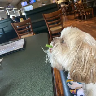 I eat my veggies too.