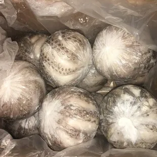 food, soups and chowder