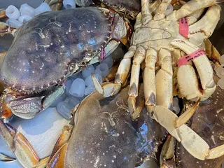 USA Daily Live Seafood Market