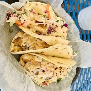 Grouper Tacos
