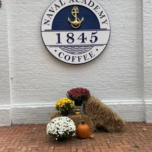 flowers and pumpkins