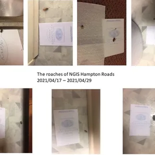 Actually killed enough to start s photo montage