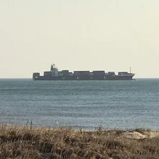 Lots of things to see right out your door. There were even whales going by