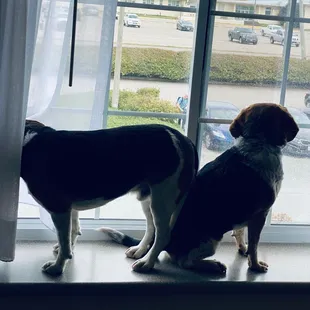 Waiting for dad to come home