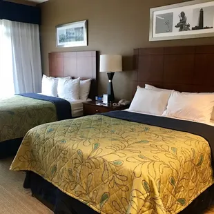 Junior suite has two beds and a recliner. No sofa bed, but plenty of space.