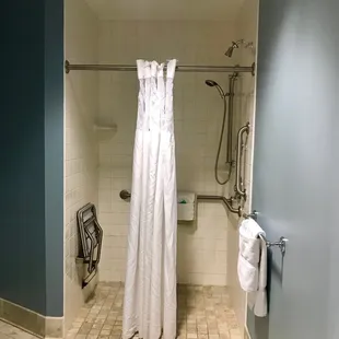 Roll in shower in accessible bathroom.